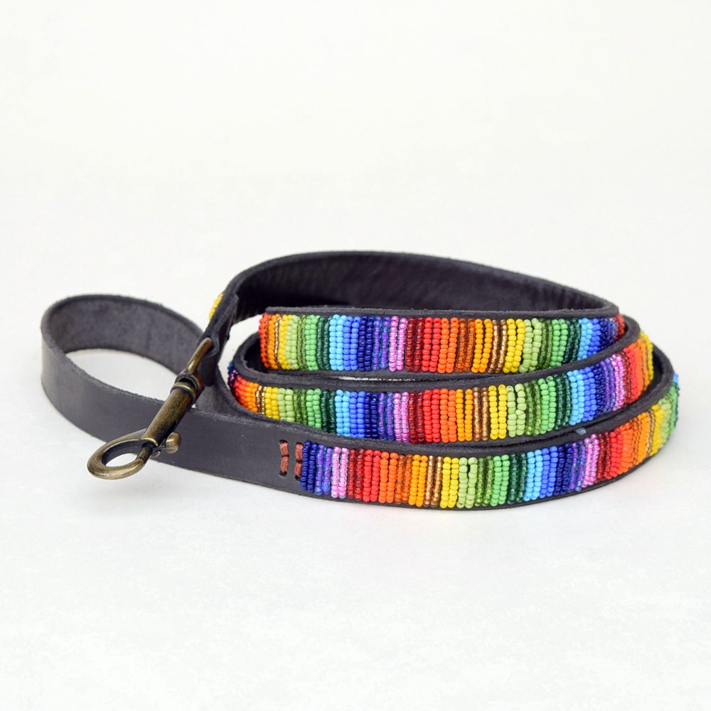 Rainbow Dog Collar