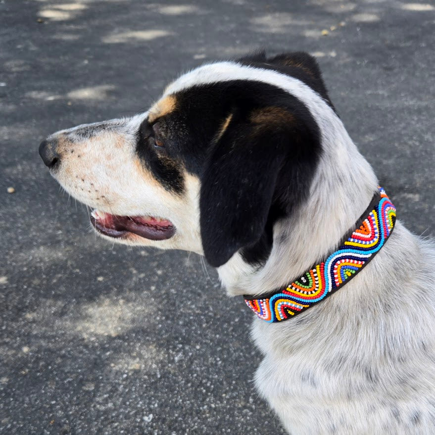 Wave Dog Collar