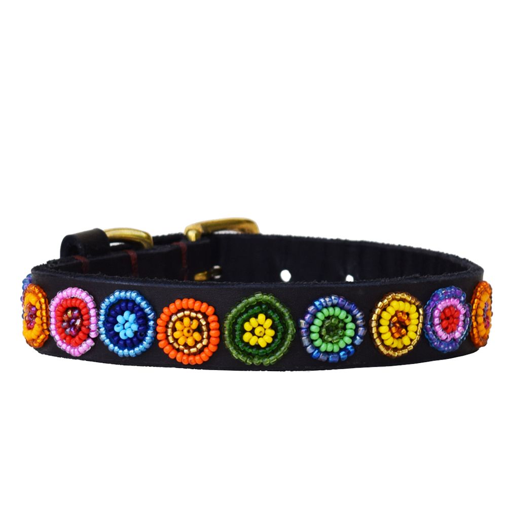Circle Shine Dog Collar