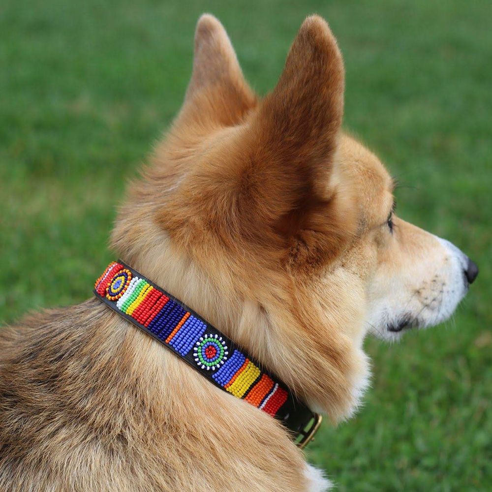 Circle Stripe Dog Collar