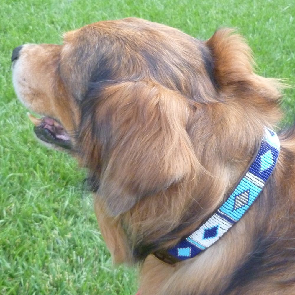 Diamond Blue Dog Collar