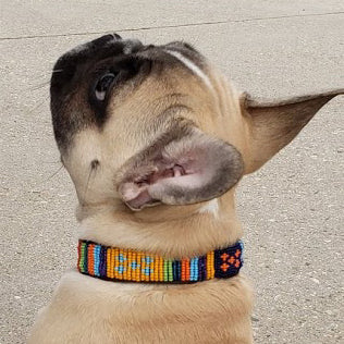 Guatemala Dog Collar