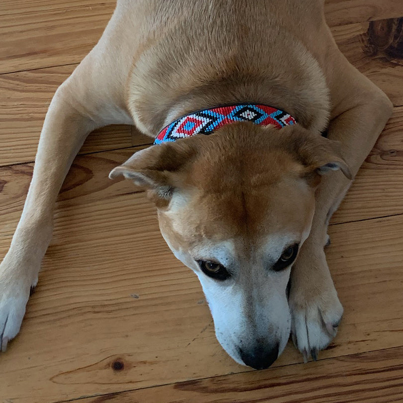Diamond Red Dog Collar