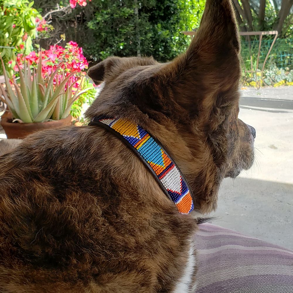 Flags Dog Collar