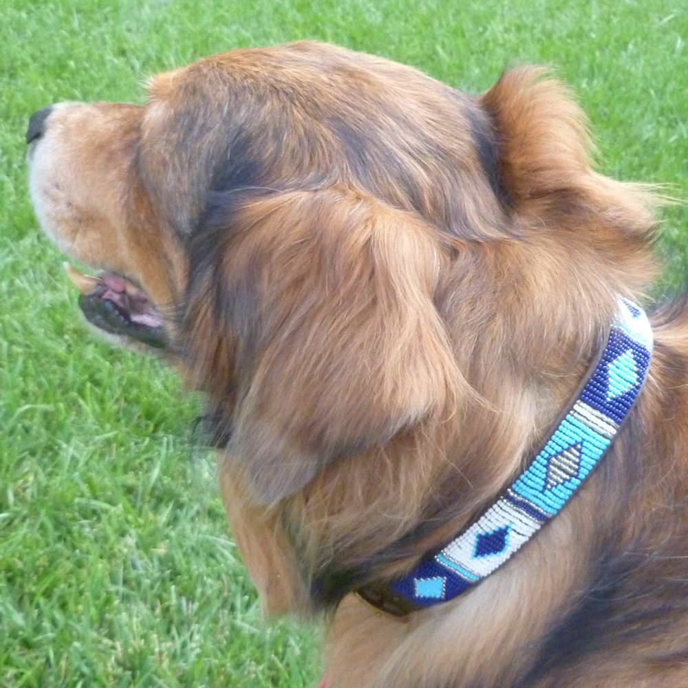 Diamond Blue Dog Collar Dog Collars