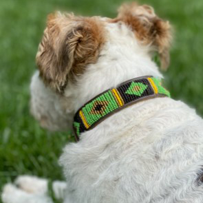 Diamonds Green Dog Collar Dog Collars