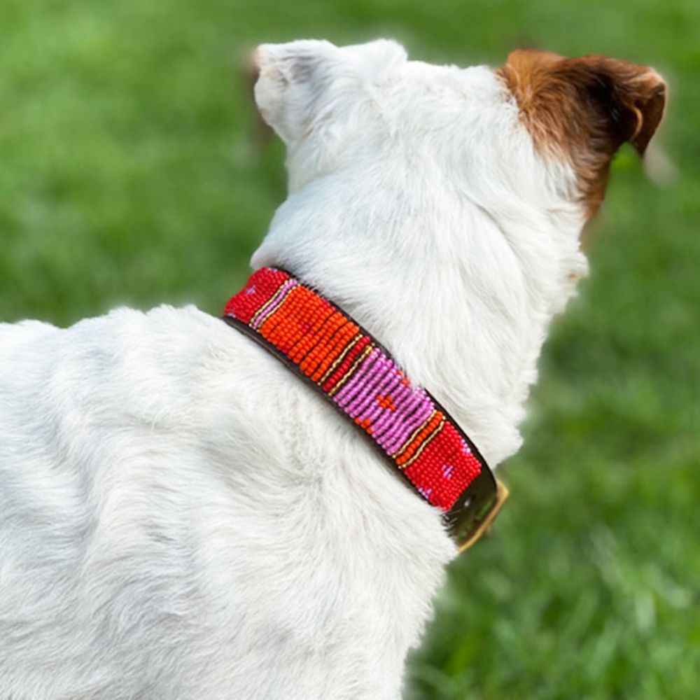 Dotted Panel Pink Dog Collar Dog Collars
