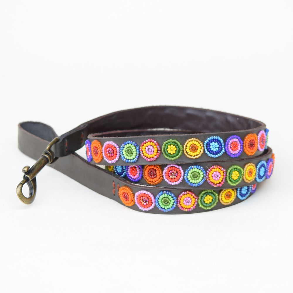 Circle Shine Dog Collar
