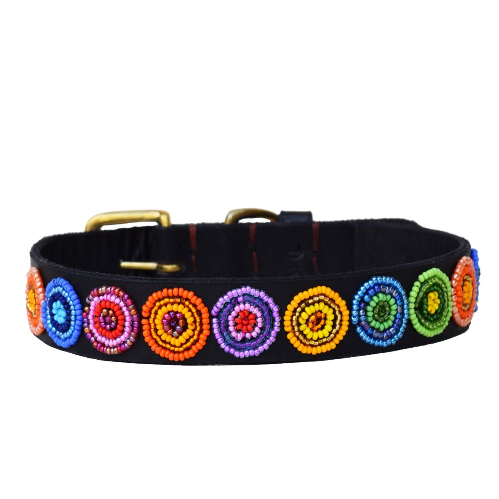 Circle Shine Dog Collar