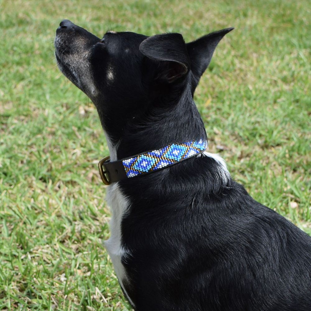 Xena Blue Dog Collar