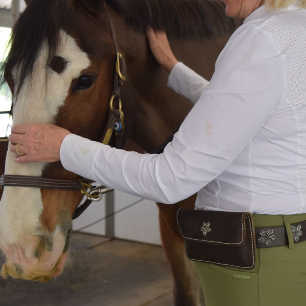 Silver Star Belt Purse