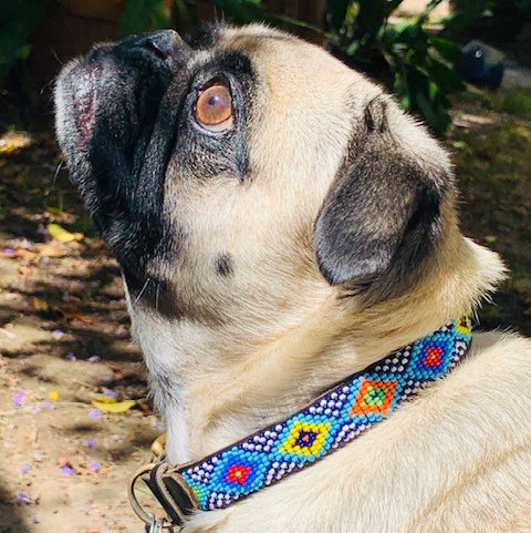 Brenda Dog Collar