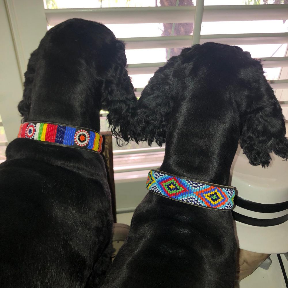 Brenda Dog Collar