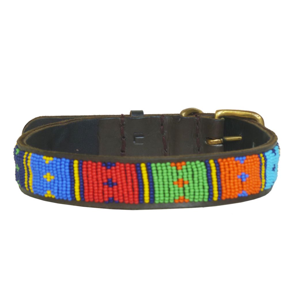Dotted Panel Multi Dog Collar