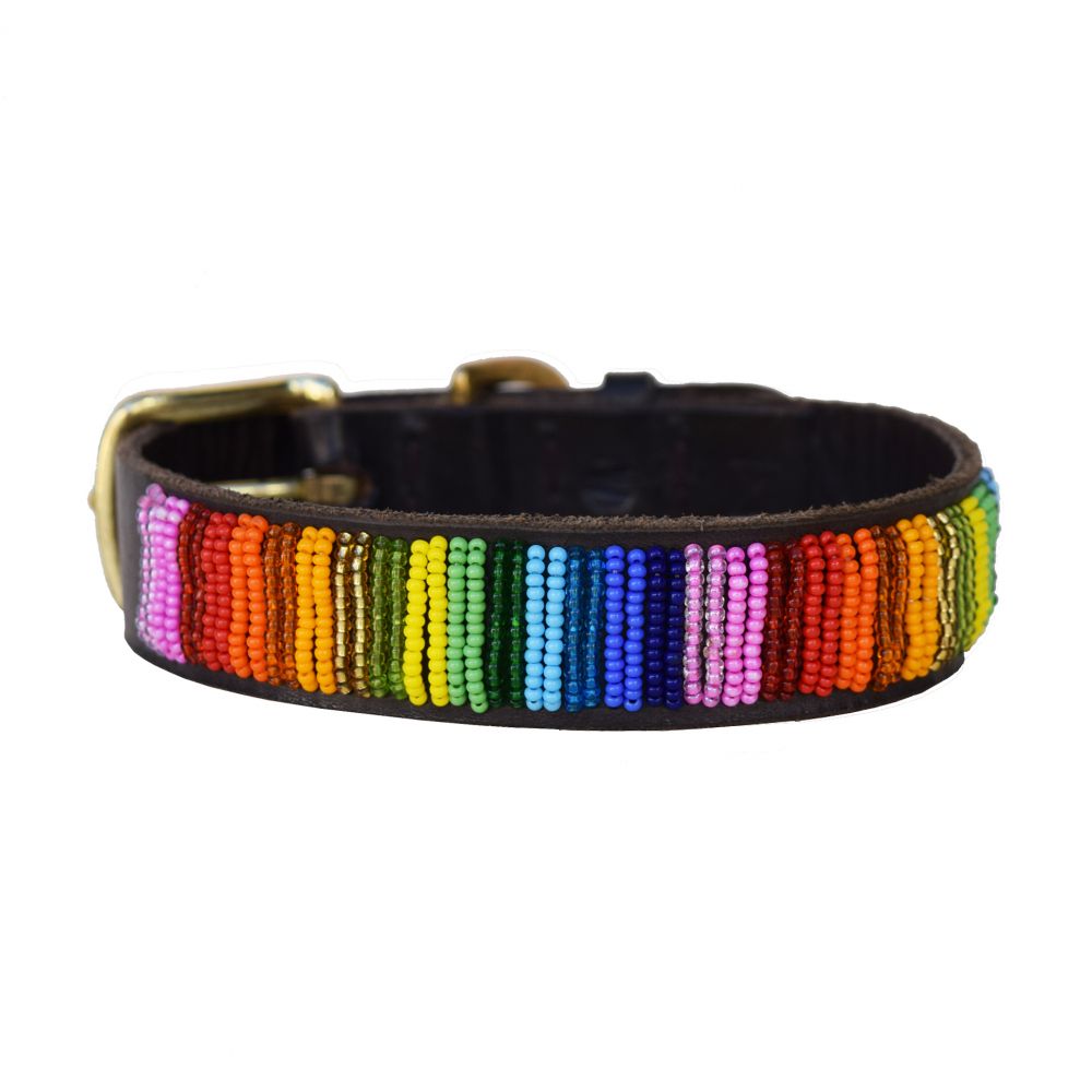Rainbow Dog Collar