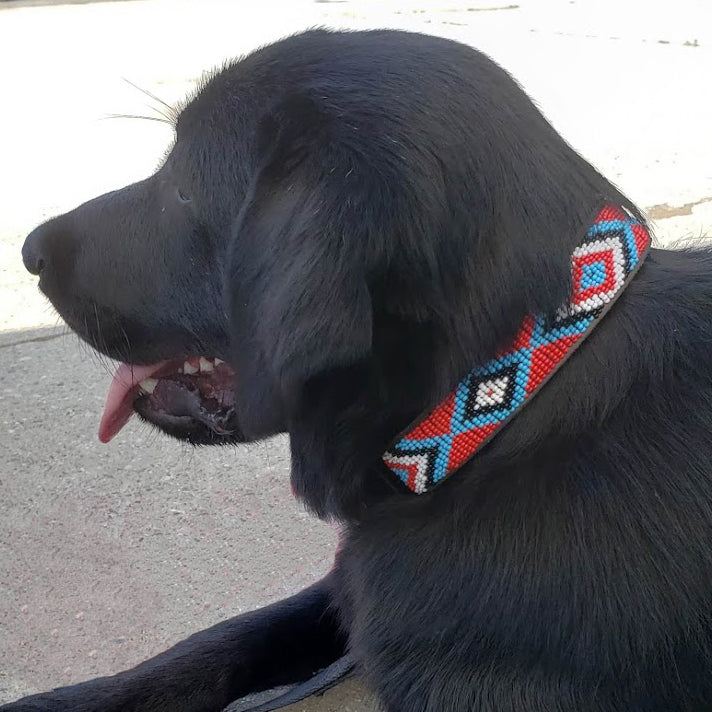 Diamond Red Dog Collar