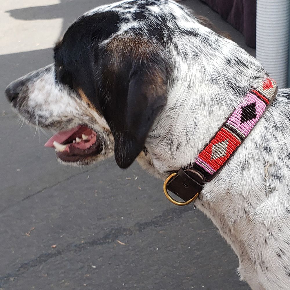 Diamond Pink Dog Collar