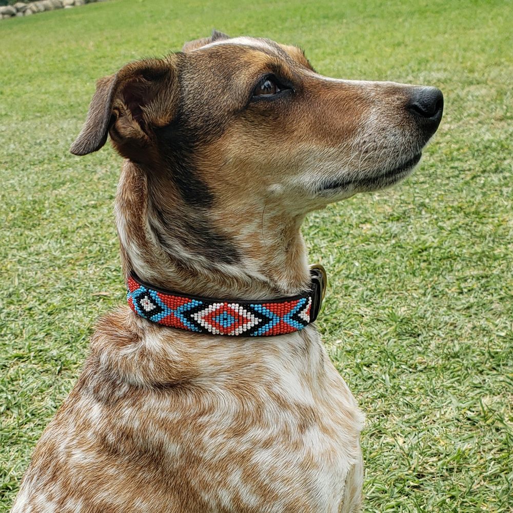 Diamond Red Dog Collar